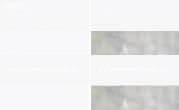 Рулонные шторы день-ночь на проём Элса ВО Снежно-Белый