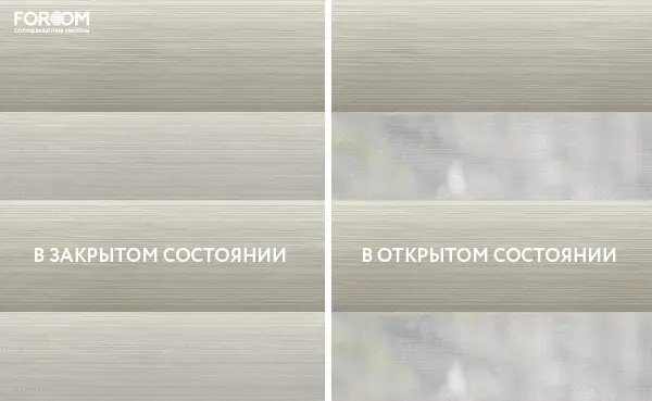 Рулонные шторы день-ночь на проём Либра Серый