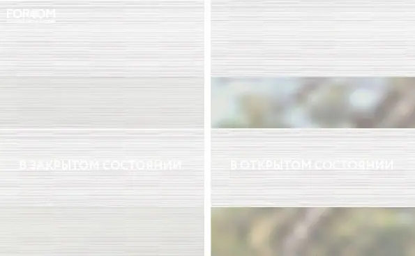 Рулонные шторы день-ночь на проём Органик Белый