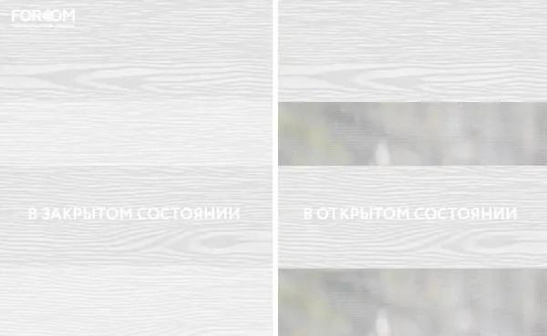 Рулонные шторы день-ночь на проём Вууд Белый